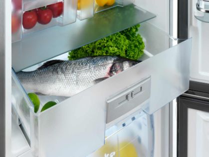 Bild: Fisch im Kühlschrank